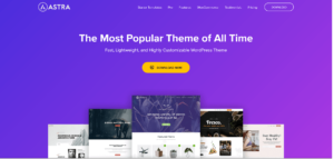 Astra – Fast Lightweight & Customizable WordPress Theme