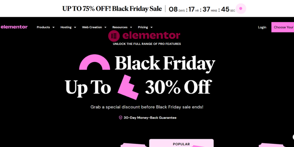 Elementor Pro Black Friday offer