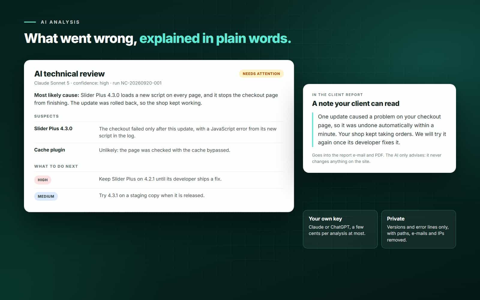 AI technical review of a run: the most likely cause, suspects and what to do next, plus a plain-language note for the client report.