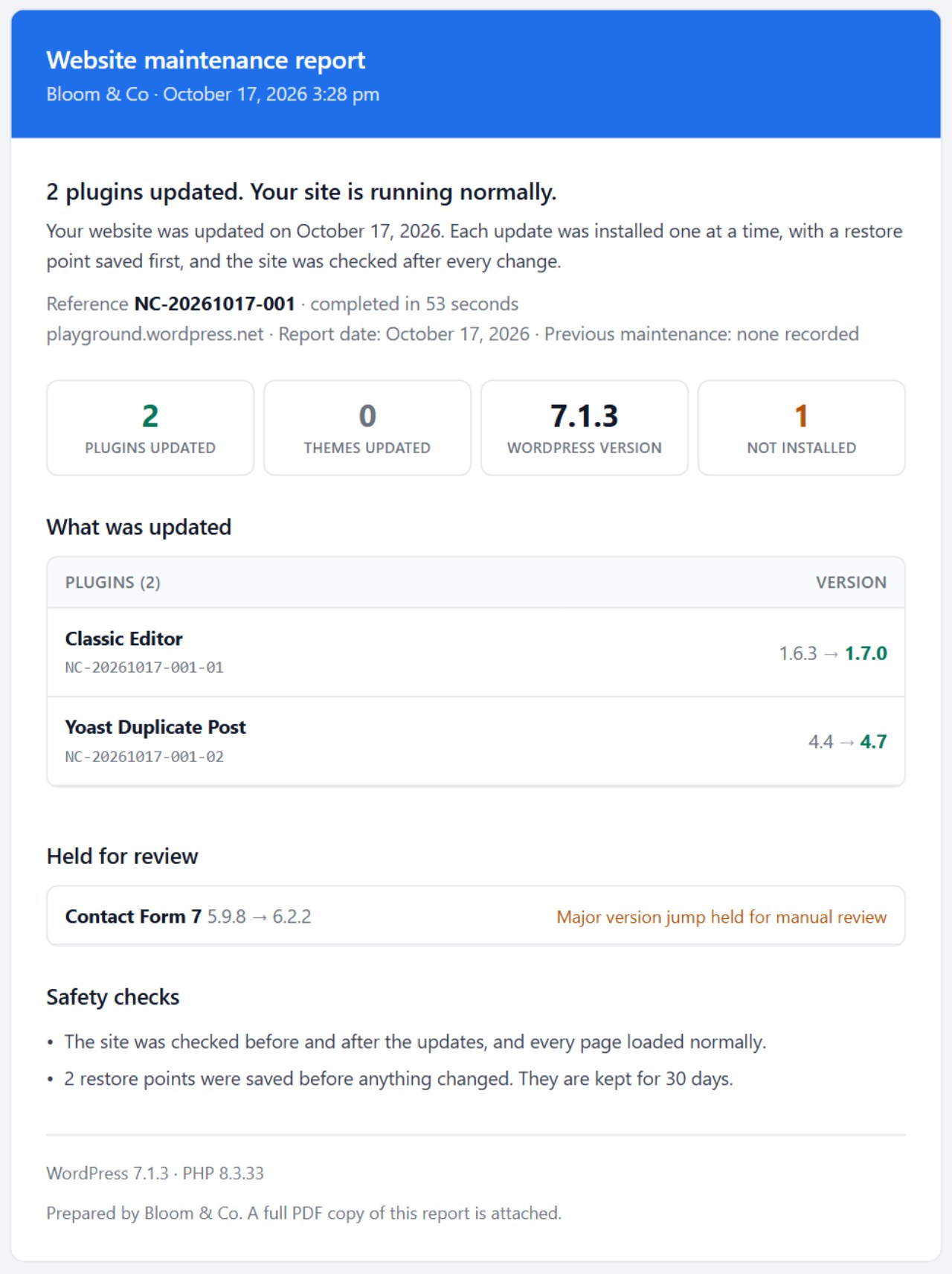 NoyaCare maintenance report e-mail listing the updated plugins, the update held for review and the safety checks